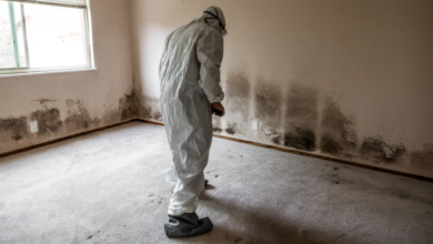 Why Mold Inspections Are Essential After Water Damage