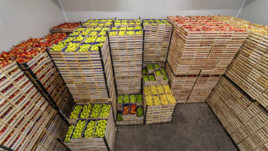 The Environmental Benefits of Reusable Shipping Crates