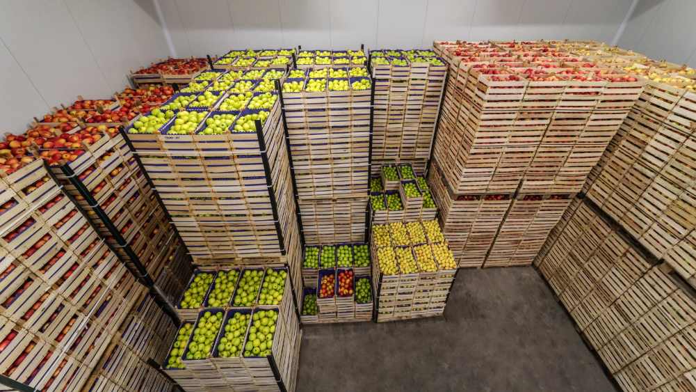 The Environmental Benefits of Reusable Shipping Crates