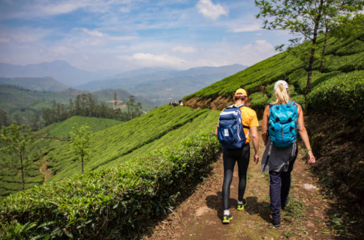 Exploring Munnar: Kerala’s Serene Tea Paradise