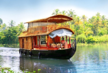 Backwaters & Beyond: The Ultimate Kerala Honeymoon Tour Experience