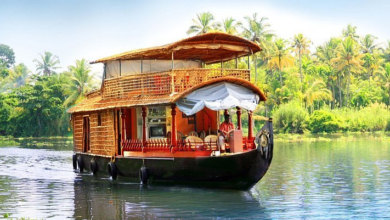 Backwaters & Beyond: The Ultimate Kerala Honeymoon Tour Experience