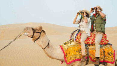 Jaisalmer Camel Safari Tours: A Timeless Desert Experience