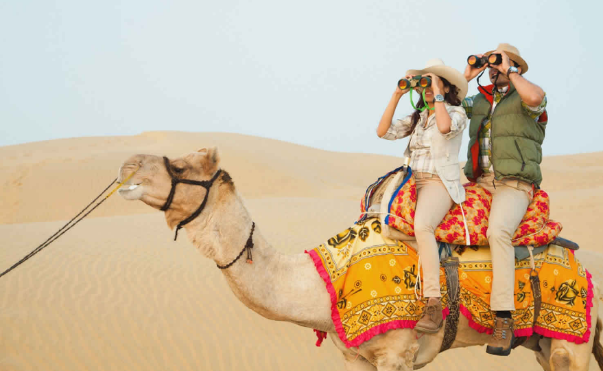 Jaisalmer Camel Safari Tours: A Timeless Desert Experience
