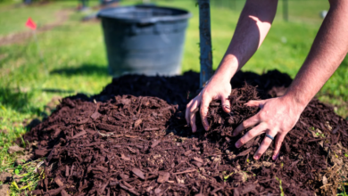 Why Mulch Delivery is the Best Option for Large Landscaping Projects