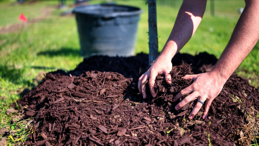 Why Mulch Delivery is the Best Option for Large Landscaping Projects