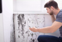 Hidden Causes of Wall Seepage Most Homeowners Overlook