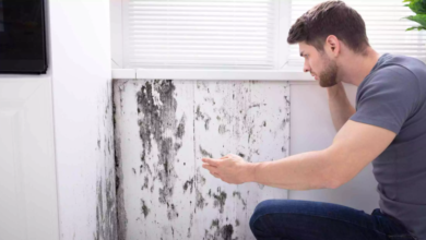Hidden Causes of Wall Seepage Most Homeowners Overlook